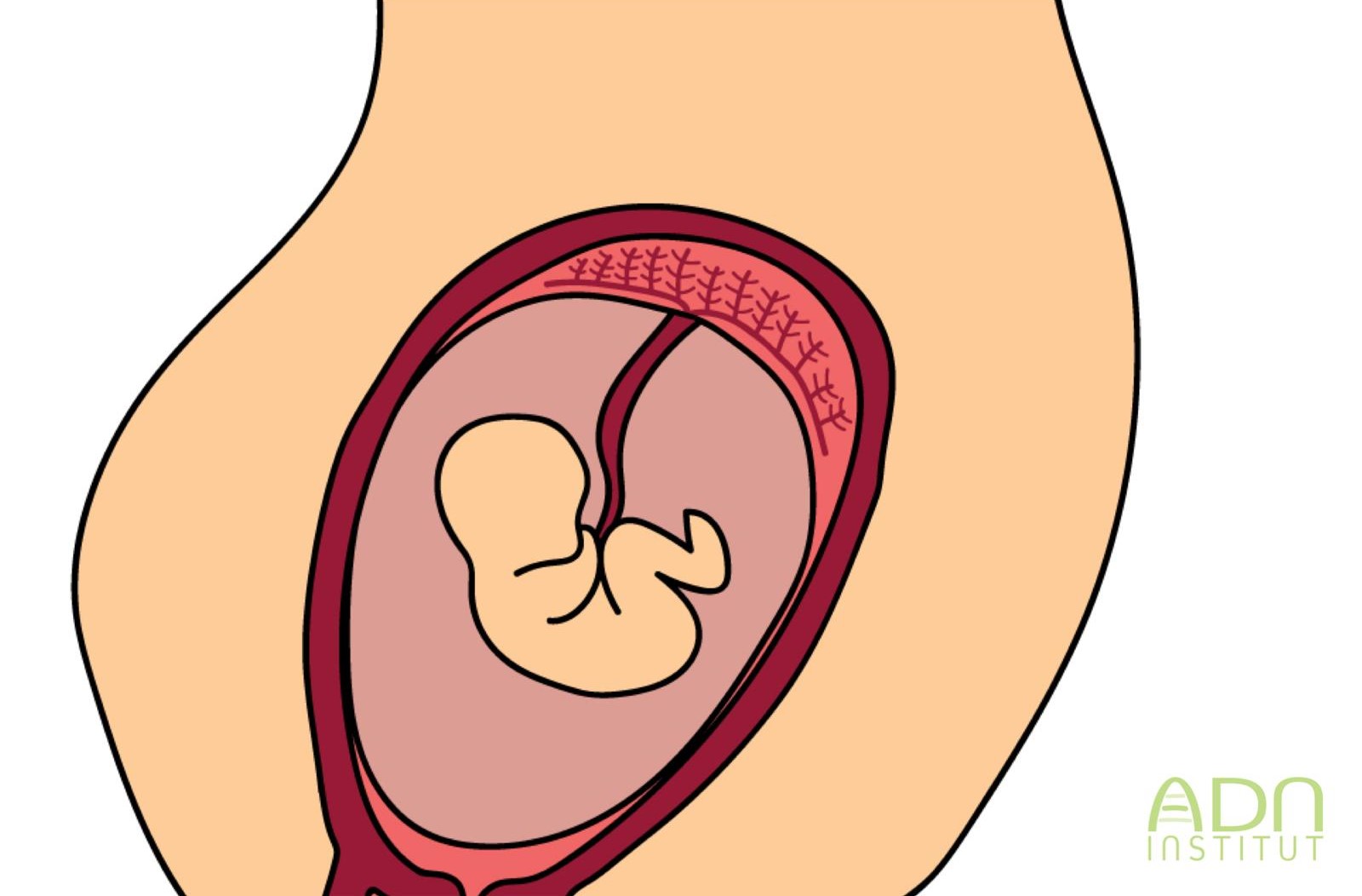 Bebés de mujeres embarazadas y con Covid pueden presentar